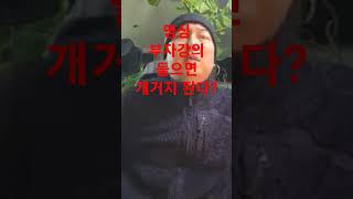 [ 꼭봐 ] 부자강의 들으면 개거지 된다? ---- 바부들? ---- 아직도 네가 부자가 안된걸 보면서도 몰라? 아직도 몰라?