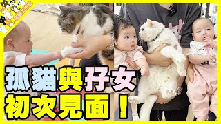 【孤貓工作室】孤貓與孖女初次見面！ 竟然會發生這些事！