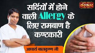 सर्दियों में होने वाली Allergy के लिए रामबाण है कण्टकारी Benefits of Kantakari~Acharya Balkrishna Ji