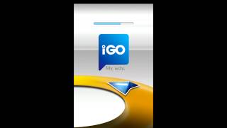 Igo skin