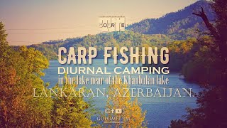 Lənkəranda SAZAN ovu. CARP FISHING in the Lankaran..