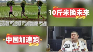 [天天硬事4230期]——01 华尔街日报嘲笑印度渴望发展制造业，千万劳动力却回流农村，莫迪延长每月10斤米援助计划换取婆罗多美梦 02 欧盟下属研究项目称中国与欧洲人工智能科研合作超过中美