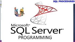 TU SQL Programming Stored Procedures What They Are Best Practices Security and More
