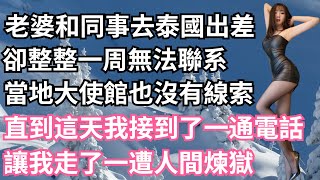 老婆和同事去泰國出差，卻整整一周無法聯系，當地大使館也沒有線索，直到這天我接到了一通電話，讓我走了一遭人間煉獄！【一濟說】#落日溫情#情感故事#花開富貴#深夜淺讀#深夜淺談#家庭矛盾#爽文