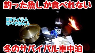 釣った魚しか食べれない冬のサバイバル車中泊キャンプ