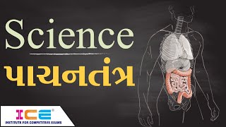 માનવ પાચનતંત્ર - Human Digestive System || Science || ICE Rajkot