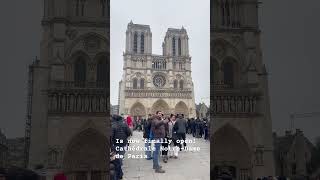 Cathèdrale Notre-Dame de Paris #amvyofficial #notredame #catholicchurch #paris2025  #shorts #prayer