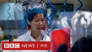 新冠肺炎：BBC記者走訪雲南蝙蝠洞 中國當局設法跟蹤攔截－ BBC News 中文