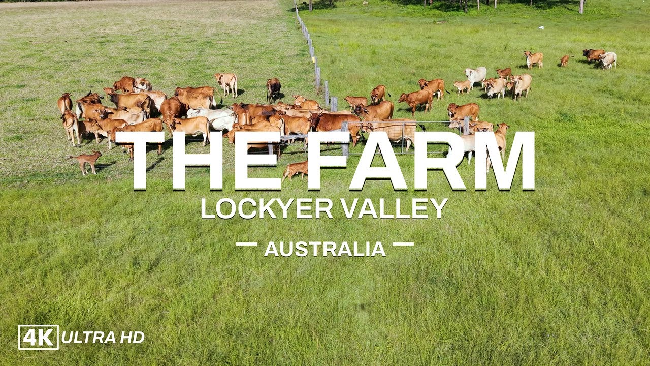 The Farm Lockyer Valley Queensland Australia Dji Air 3s 4k Uhd