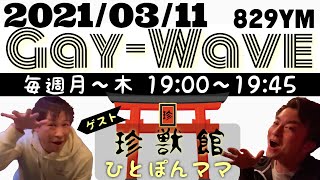 今夜3/11(木)19時〜新宿二丁目見えるラジオ Gay Wave 生配信❣️ ゲイの情報をお届けする見えるラジオ遊びに来てね😊