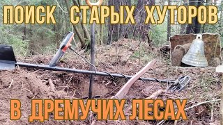 Поиск старых хуторов в дремучих лесах