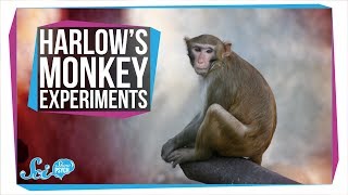 Harlow's Horrifying Monkey Experiments