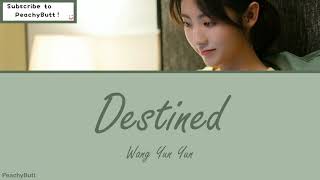 [OST Miss Crow With Mr.Lizard] 《Destined》 Wang Yun Yun (Eng|Chi|Pinyin)