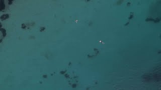 Ocean Swimming Aerial Stock Video