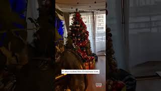 Earthquake Rocks Christmas Tree #shorts