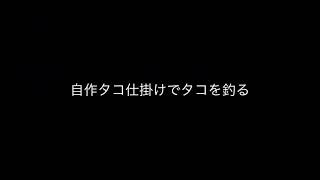 タコ釣り調査！