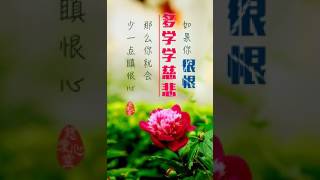 ✨🎵 🎵【师父音频】 睡前一听✨［白话佛法］如果你很恨，多学学慈悲，那么你就会少一点瞋恨心