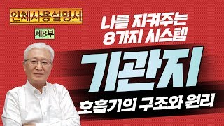 [E320] 인체사용설명서 (제8부) 나를 지켜주는 8가지 시스템 - 기관지와 호흡기