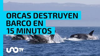 Orcas atacan una embarcación y la destruyen en 15 minutos