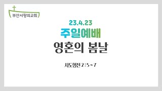 [설교영상]23.04.23/주일예배/ 말씀:전광식목사 (전 고신대 총장, 독수리기독중고등학교 이사장)