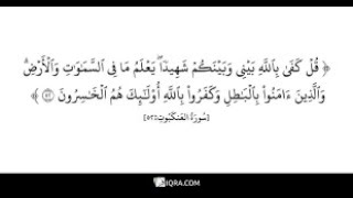 قُلْ كَفَىٰ بِاللَّهِ بَيْنِي وَبَيْنَكُمْ شَهِيدًا ۖ يَعْلَمُ مَا فِي السَّمَاوَاتِ وَالْأَرْضِ 52