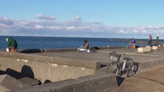 日曜日の田辺市元島堤防釣り人　和歌山釣太郎