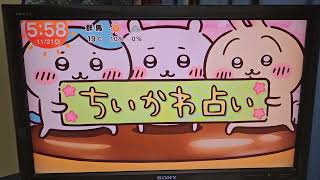 めざましテレビ、11月21日、めざましジャンケン、ちいかわ占い