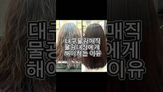 🌟대구복구매직잘하는집/ 물광매직/윤기매직/강곱슬매직전문미용사/ 어센딩연화로 제대로 곱슬잡자🌟#달서구복구매직#대구복구매직#악성곱슬매직 #대구매직전문