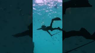Beyond the Expected: Snorkeling Blue Heron Bridge