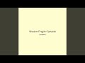 Shadow Fragile Cascade