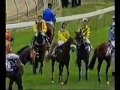 2002 Melbourne Cup - Media Puzzle