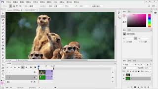 Adobe Photoshop，图像处理软件-第一百一十三章-   制作视频动画 入门到精通，轻松赚钱工具