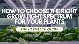 How To Choose The Right Grow Light Spectrum For Your Plants