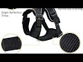 rabbitgoo cat harness and leash features