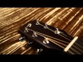 Breedlove Guitars: Passport D/MMe Acoustic Guitar