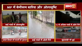 MP में बेमौसम बारिश और ओलावृष्टि | वहीं छग के कई क्षेत्रों में बारिश , फसलें को हुआ भारी नुकसान