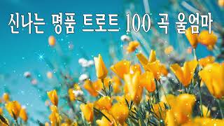 정동원 17번째 생일 기념 신나는 트로트 메들리 듣기! 그 어디에서도 듣지 못한 신나는 트로트 메들리 #정동원 #17번째 #생일기념 #트로트메들리