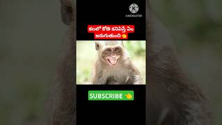 కలలో కోతి కనిపిస్తే ఏం జరుగుతుంది#monkey #amazing #indiantemples #anjaneyaswamy#subscribe 👈