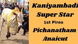 Kaniyambadi Super Star Mass Running at Pichanatham Anaicut 2022 Tamil culture Festival