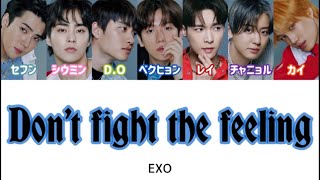 【歌詞/かなるび/日本語訳】Don't fight the feeling - EXO