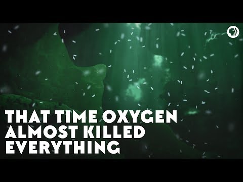What happened during the oxygen crisis?
