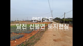 [랜디로드]당진시 신평면 토지임장