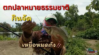 EP.52ตกปลาหน้าดินหมายธรรมชาติ//เห็นแล้วหัวร้อน/กินจัดเหยื่อไม่พอตก