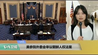 VOA连线：美参院外委会审议朝鲜人权法案