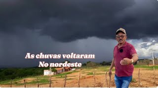 Voltou a chover no nordeste