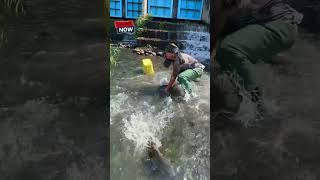 Amazing Fisherman skills , Huge Fishing