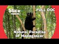 Madagascar, the Sanctuary of Biodiversity | SLICE TRAVEL | FULL DOCUMENTARY