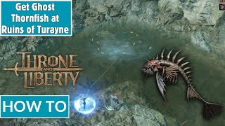 How to Get Ghost Thornfish (2) at Ruins of Turayne - THRONE AND LIBERTY