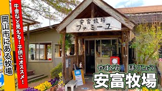 【岡山市内にある牧場】安富牧場ファミーユに行ってきたよ！《大人気の食べ物》