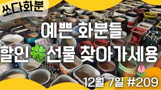 209차 화분판매   #쏘다화분🪴 12월 7일 | 예쁜 다육이 화분 | #다육이화분 수제 국산 #화분  #다육화분 세일 할인 이벤트 무료배송 분갈이 예운